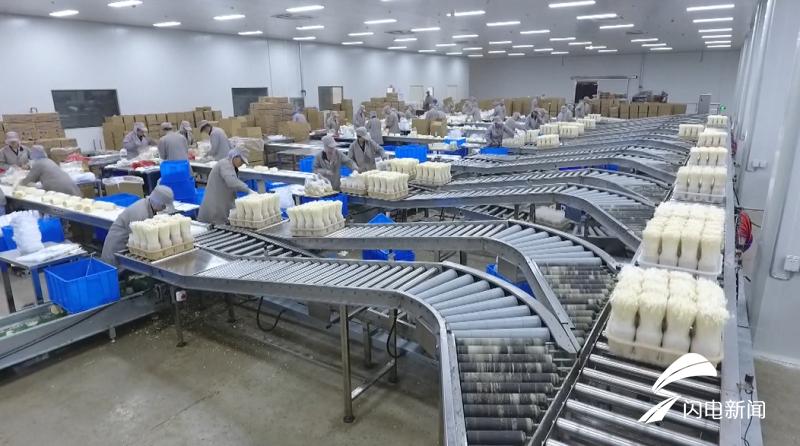 科技扶貧新起點，鄉村振興新篇章——2019年山東農業科技服務(扶貧)月啟動儀式在鄒城盛大舉行